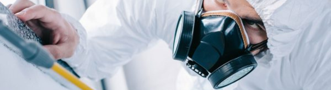 Dedetização em Geral em São Paulo  24 HORAS